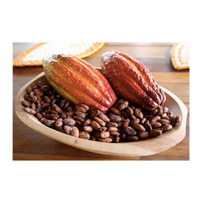 Feve cacao Illustration fêve cacao chocolat pastocho