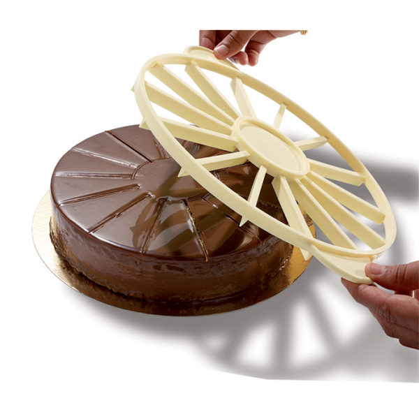 DIVISEUR GATEAU 10 PARTS   265
