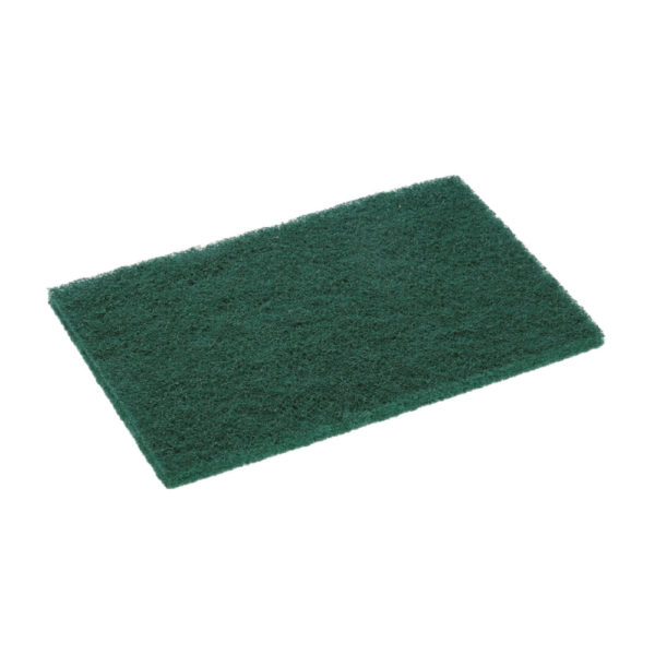 10XTAMPON RECURER VERT SPONTEX